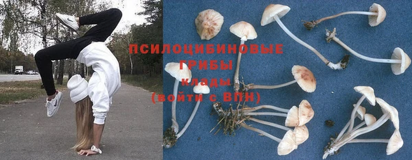 тгк Балабаново
